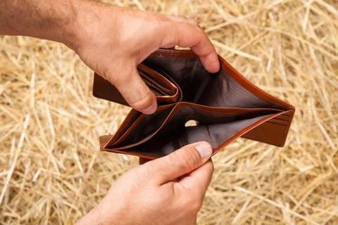 Open wallet in hands Stock Photos