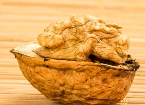 Open wallnut Stock Photos