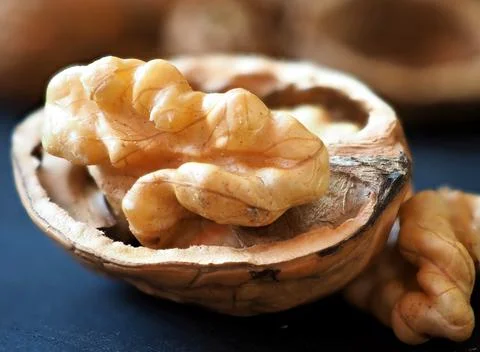 Open walnut. Close-up Stock Photos