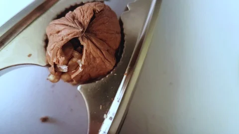 Open a walnut with a nutcracker Stock Footage 101035929