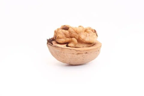 Open walnut Stock Photos
