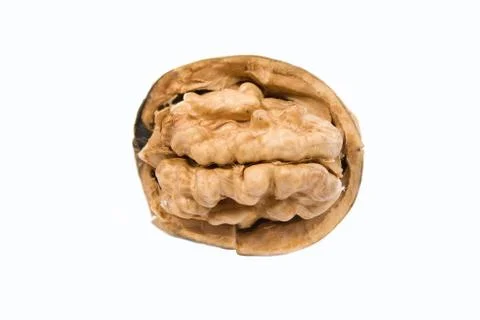 Open walnut Stock Photos