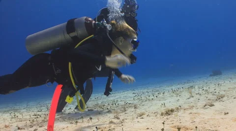 Open water certification Vidéo 3894444