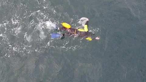Open water swimmer Видео 165545354