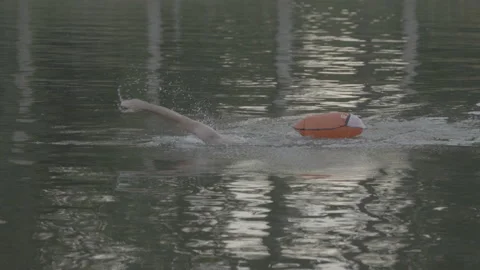 Open water swimmer Stock Footage 204858608