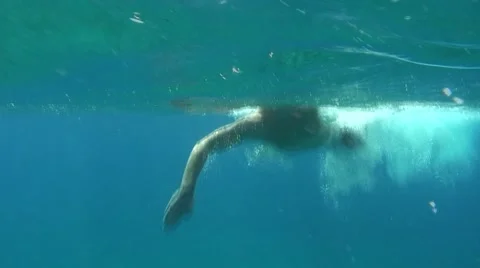 Open water swimming from surface Stock Footage 51180527
