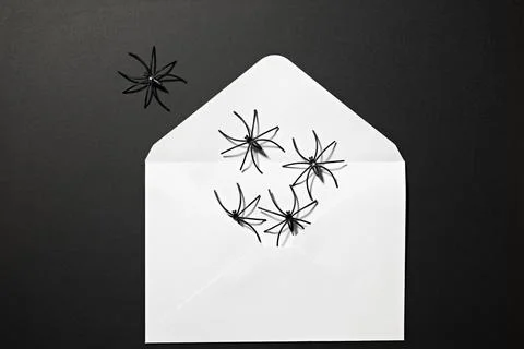 Open white envelope filled with black spiders on dark background for Hallow.. Stock Photos