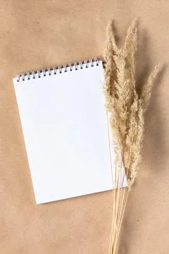 Open white paper empty blank of notepad for mock up with dried spikelets deco Stock Photos