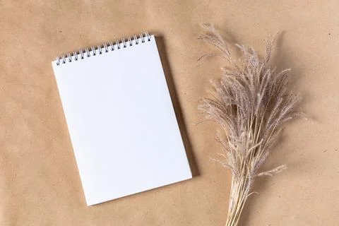 Open white paper empty blank of notepad for mock up with dried spikelets deco Stock Photos
