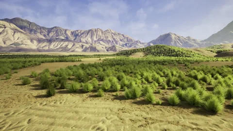 Open wilderness with distant ridgelines and boundless sky setting tone Stock Footage 340658557
