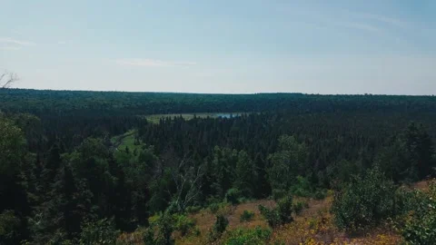 Open Wilderness Stock Footage 344020306