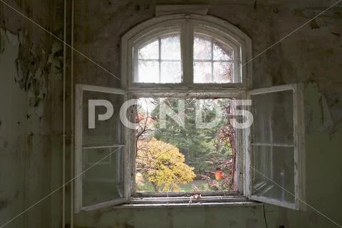 An Open Window In An Aband Building, Beelitz-Heilstaetten, Germany