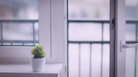 Open Window with Balcony Door and Small Green Plant on Windowsill Vídeos de archivo 330588020