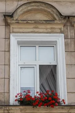 Open window decorated with beautiful red geranium flowers in summer day. Urban Stock Photos