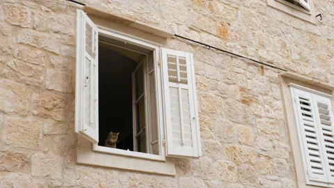 Open Window Of A Stone House With Cute Cat Looking Outside. low angle Stock Footage 160088773