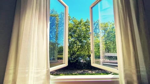 Open Window Time Lapse Looking Out at Green Trees and Sunny Blue Sky Stock Footage 338151077
