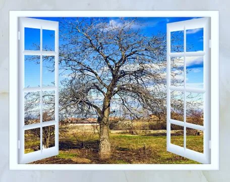 Open window view of early spring Stock-Illustration