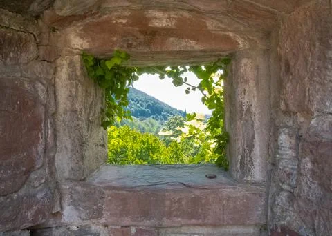 Open window viewing tree leaves and a mountain in a sunny day. Stock Photos