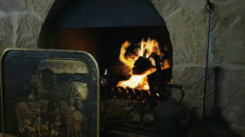 Open wood fire Stock Footage 12325156