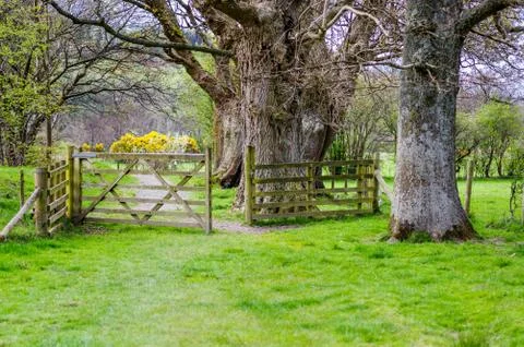 Open wooden gate in countryside Stock Photos