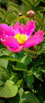 Open to the World Stock Photos