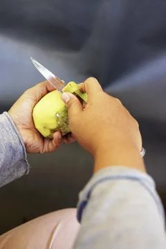 Open a young mango with a knife Stock Photos