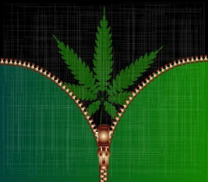 Open Zipper Cannabis Leaf Stock Illustration