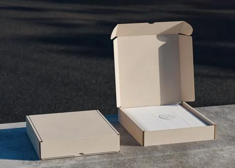 Opened and closed cardboard boxes on the roadside useful for mockup Stock Illustration