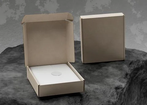 Opened and closed cardboard boxes with texture use for mockup Stock Illustration