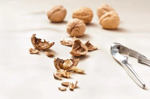 Opened and whole walnuts Stock Photos