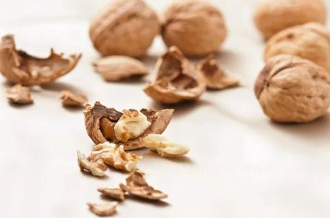 Opened and whole walnuts Stock Photos