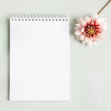 Opened blank notepad Stock Photos
