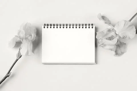 Opened blank notepad Stock Photos
