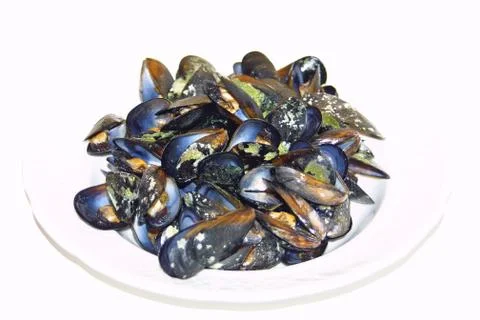 Opened boiled mussels Stock Photos