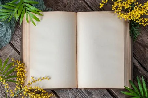Opened book with blank pages on old wooden table. Background image in spring  Stock Photos