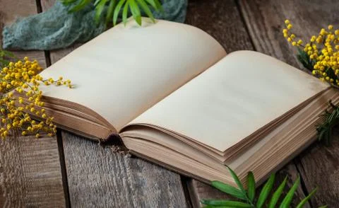 Opened book with blank pages on an old wooden table with mimosa flowers. Hori Stock Photos