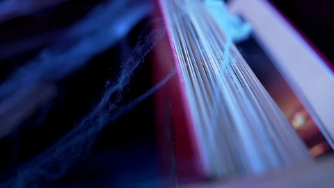 Opened book on bookshelf with artificial spiders web at themed Halloween party Stockbeeldmateriaal 116718543