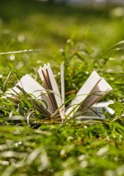 Opened book on grass .that are sunlight Stock Photos