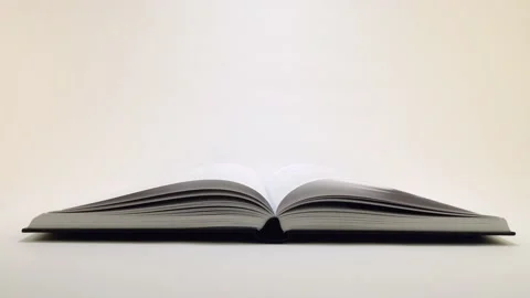 Opened book with page motion Stock Footage 163831957
