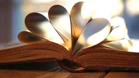 Opened book with pages in shape of a heart close up on sunset background Stock Footage 89112022