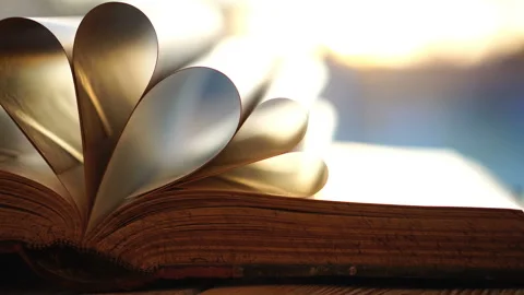 Opened book with pages in shape of a heart close up on sunset background Stock Footage 89322517