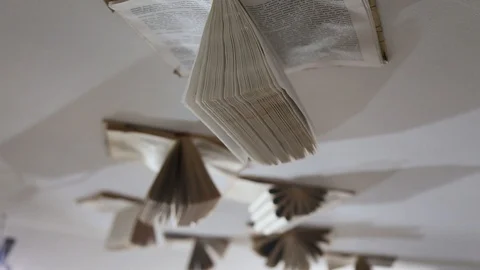 Opened books on the wall, pages and letters in books Stock Footage 127637179