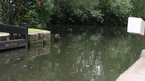 Opened Canal canal lock gate Stock-Footage 77537317