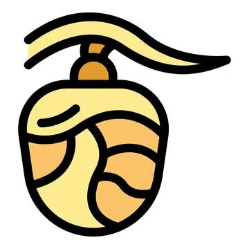 Opened chestnut seed showing its inside with a closeup view Stock Illustration