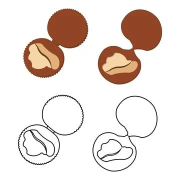 Opened clam oyster shell vector set 스톡 일러스트