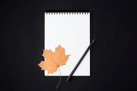 Opened clean notebook or sketchbook with pencil and autumn leaf on black back Foto stock