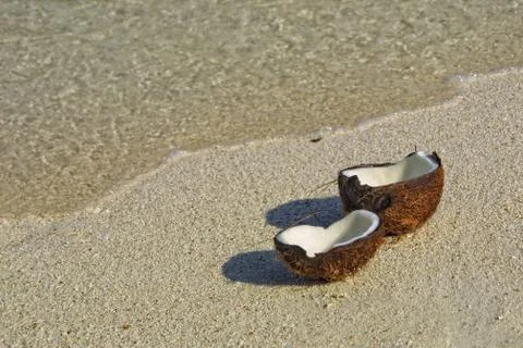 Opened coconut on the sandy beach Stock Photos