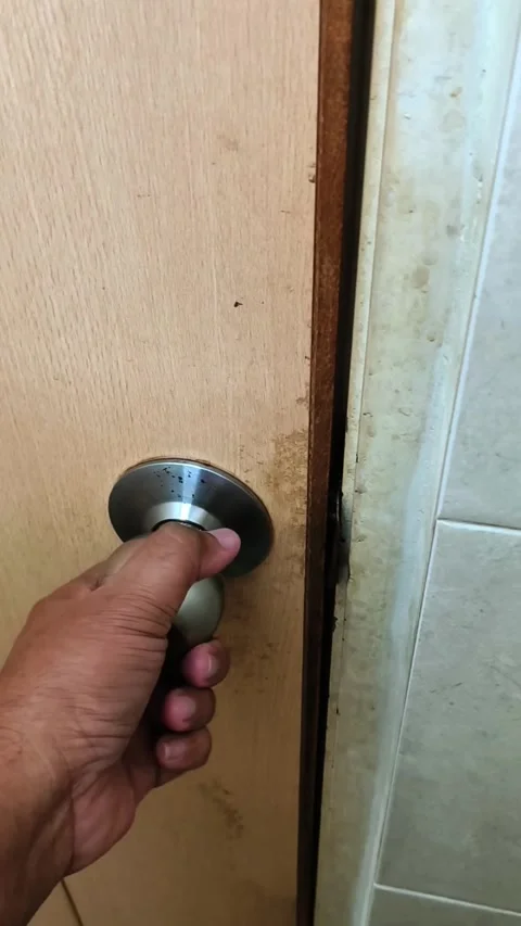 Opened the door. Stock Footage 320977136