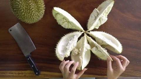Opened durian is on the table Stock Footage 159328536