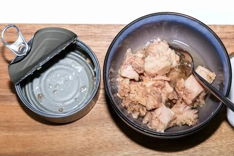 Opened empty tuna can with tuna in bowl. Stock Photos